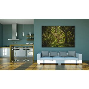 Orman Duvar Sanatı, Doğa Ve Ağaç Temalı Duvar Kanvası