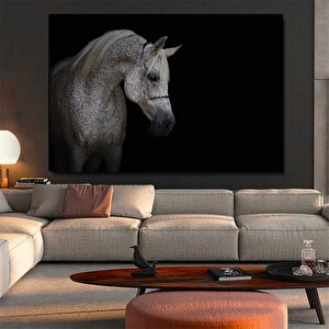 Yemek Odası Kanvası – Siyah Beyaz At Figürü, Hint Deseni