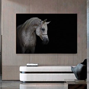 Yemek Odası Kanvası – Siyah Beyaz At Figürü, Hint Deseni 30x40 cm