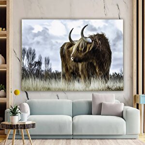 Highland İneği; Sığır Duvar Dekoru; Hayvan Duvar Sanatı; Doğa Manzara Baskısı; Vahşi Boğa Duvar Sana 120x150 cm