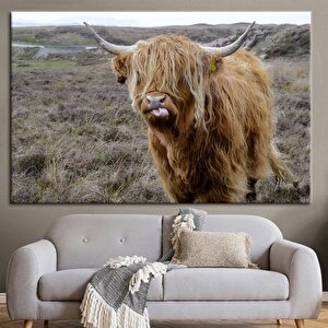 Dağ İneği Kanvası, Yaban Hayatı Dekoru, Vahşi Boğa Ve Boynuz Sanatı 60x120 cm