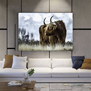 Highland İneği; Sığır Duvar Dekoru; Hayvan Duvar Sanatı; Doğa Manzara Baskısı; Vahşi Boğa Duvar Sana 140x200 cm