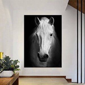 Beyaz At Duvar Tablosu, At Dekoru, Büyük Boy Kanvas, Oturma Odası İçin At Resmi 40x60 cm
