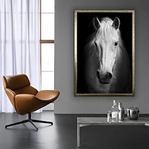 Beyaz At Duvar Tablosu, At Dekoru, Büyük Boy Kanvas, Oturma Odası İçin At Resmi