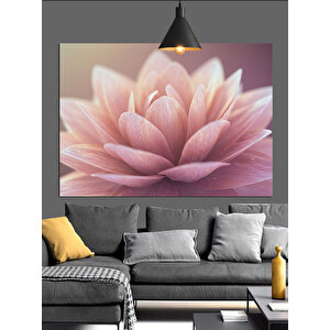 Pembe Lotus Çiçek Dekoratif Kanvas - Mdf Ahşap Tablo 50x70 cm