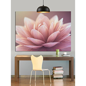Pembe Lotus Çiçek Dekoratif Kanvas - Mdf Ahşap Tablo