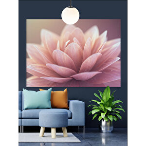 Pembe Lotus Çiçek Dekoratif Kanvas - Mdf Ahşap Tablo