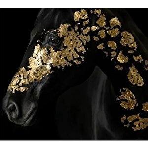 Büyük Baskı Ve Poster Hayvan Kanvas Tablosu, Siyah Ve Altın At Posteri, Lüks Oda Dekoru