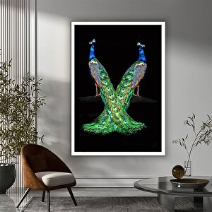 Büyük Tavuskuşu Kanvas Tablosu; Ev Dekoru