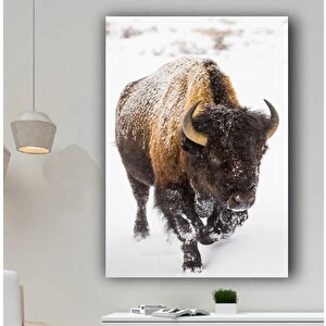 Kar Altında Amerikan Bizonu Tablosu, Ofis Ve Ev İçin Buffalo Temalı Duvar Dekoru 70x100 cm