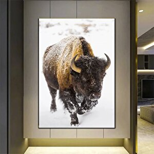 Kar Altında Amerikan Bizonu Tablosu, Ofis Ve Ev İçin Buffalo Temalı Duvar Dekoru 30x40 cm