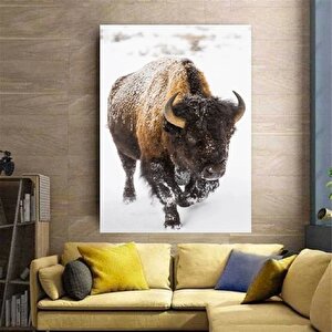 Kar Altında Amerikan Bizonu Tablosu, Ofis Ve Ev İçin Buffalo Temalı Duvar Dekoru