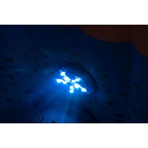Lay-z-spa® 60303 7 Renkli Led Lamba, Spa Aksesuarı