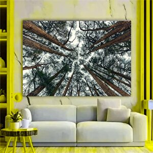 Ağaç Dalı Baskısı Soyut Ağaç Büyük Orman Baskısı Ağaç Duvar Sanatı Orman Duvar Sanatı Ağaçlar Tuval 100x200 cm