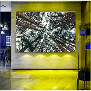 Ağaç Dalı Baskısı Soyut Ağaç Büyük Orman Baskısı Ağaç Duvar Sanatı Orman Duvar Sanatı Ağaçlar Tuval