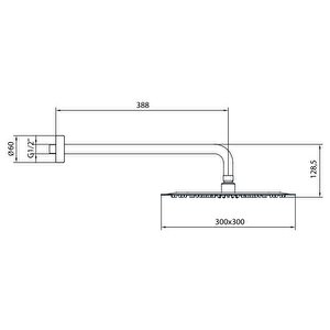 Efes Plus Tepe Duş Başlığı (300x300 Mm) Duvardan Borulu (l=388 Mm) 102145092