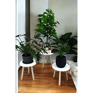 Beyaz 3'lü Ahşap Saksılık Çiçek Standı Ham Ayaklı Dekoratif Amaçlı Kullanım