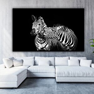 Zebra Kanvas; Zebra Duvar Sanatı; Zebra Posteri; Zebra Baskısı; Hayvan Duvar Sanatı; Hayvan Kanvas; 40x60 cm