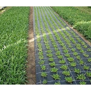 Taban Örtüsü 3x35 Metre Sera Taban Örtüsü Jüt Siyah Taban Örtüsü Malçlama Örtüsü Yer Örtüsü
