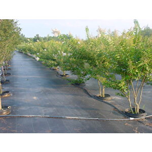 Taban Örtüsü 3x3 Metre Sera Taban Örtüsü Jüt Siyah Taban Örtüsü Malçlama Örtüsü Yer Örtüsü