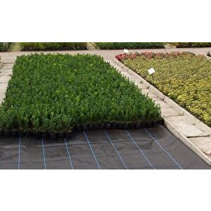 Taban Örtüsü 3x7 Metre Sera Taban Örtüsü Jüt Siyah Taban Örtüsü Malçlama Örtüsü Yer Örtüsü
