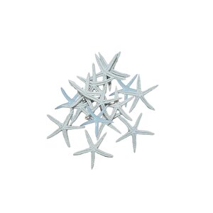 Polyester Deniz Yıldızı Simli  Beyaz  6 Cm  (12 Adet)