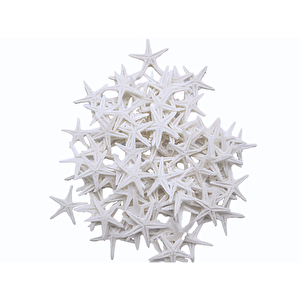 Polyester Deniz Yıldızı Minik Boy  0.5 Cm- 1.5 Cm (100 Adet)  Beyaz