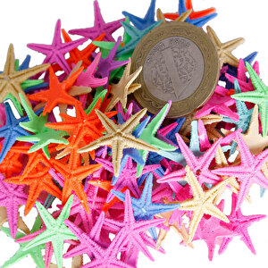 Polyester Deniz Yıldızı Minik Boy  0.5 Cm- 1.5 Cm (100 Adet)  Karışık Renk
