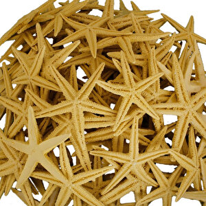 Polyester Deniz Yıldızı 6 Cm - 9 Cm (50 Adet)  Natural