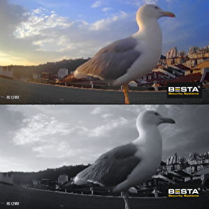 Arna 8 Diş Kamerali 2 Mp Hareket Algilama H.265+ 320 Gb Hdd Dahi̇l Ahd Güvenli̇k Seti̇- St28320m