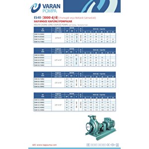Varan Es 40-20-07502 Uçtan Emişli En 733 Santrifüj Pompa 10 Hp / 7.5 Kw, Trifaze 380 V, 45 Mss, 40 M3/h