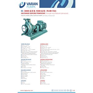 Varan Es 40-20-07502 Uçtan Emişli En 733 Santrifüj Pompa 10 Hp / 7.5 Kw, Trifaze 380 V, 45 Mss, 40 M3/h