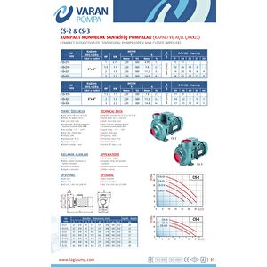 Varan Cs 32 Tek Kademe Monoblok Santrifüj Pompa 2 Hp / 1.5 Kw, Trifaze 380 V, 14 Mss, 60 M3/h