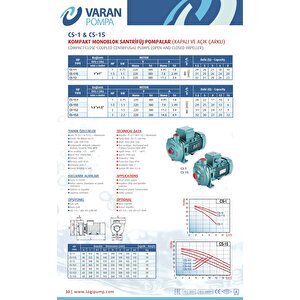 Varan Cs 115 Tek Kademe Monoblok Santrifüj Pompa 1.5 Hp / 1.1 Kw, Trifaze 380 V, 31 Mss, 8 M3/h