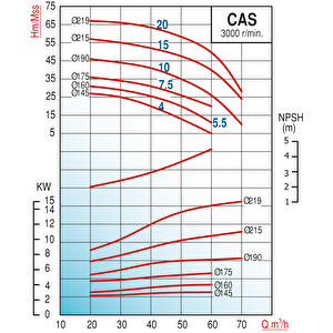 Varan Cas 5.5 Monoblok Uçtan Emişli Santrifüj Pompa 5.5 Hp / 4 Kw, Trifaze 380 V, 31 Mss, 60 M3/h