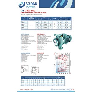 Varan Cas 5.5 Monoblok Uçtan Emişli Santrifüj Pompa 5.5 Hp / 4 Kw, Trifaze 380 V, 31 Mss, 60 M3/h
