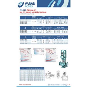 Varan Ces-i 40-16-05502 İn-line Döküm Santrifüj Pompa 7.5 Hp / 5.5 Kw, Trifaze 380 V, 48 Mss, 22 M3/h