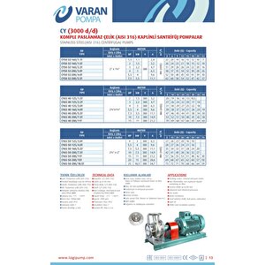 Varan Cy 50-32-160/1.1t Paslanmaz Santrifüj Pompa 1.5 Hp / 1.1 Kw, Trifaze 380 V, 22 Mss (aisi 316)