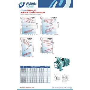 Varan Ces 40-16-07502 Monoblok En 733 Santrifüj Pompa 10 Hp / 7.5 Kw, Trifaze 380 V, 48 Mss, 50 M3/h