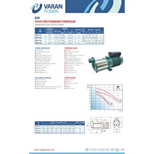 Varan Bm 2-9x5 Yatay Kademeli Noril Fanlı Santrifüj Pompa 1.5 Hp / 1.1 Kw, Monofaze 220 V, 58 Mss, 4 M3/h