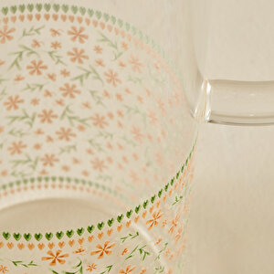 Blossom Sürahi (1460 Cc) Çok Renkli