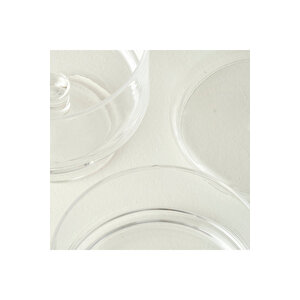 Alis 2 Katlı Kurabiyelik Naturel (15x28 Cm) Naturel