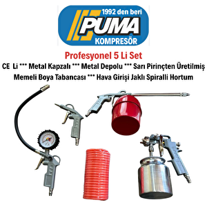 Power 100 Litre. 2 Hp 220 Volt 8 Bar Pistonlu Kompresör 5 Li Hava Setli