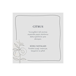 Citrus Oda Kokusu (250 Ml) Siyah