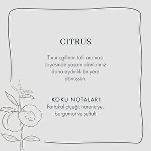 Citrus Oda Kokusu (250 Ml) Siyah