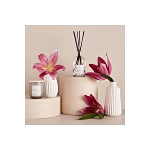 Jasmine Ahşap Fitilli Soy Wax Mum Antrasit