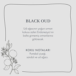 Black Oud Ahşap Fitilli Soy Wax Mum Antrasit