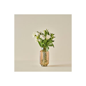 Nilda Cam Vazo Naturel (12x23 Cm) Naturel