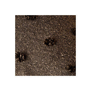 %100 Pamuk Maroc Dekoratif Yastık Antrasit (43x43 Cm) Antrasit