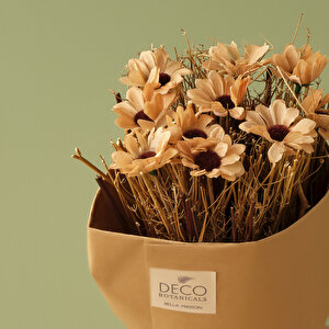 Daisy Dal Çiçek Buketi Naturel (35 Cm) Naturel